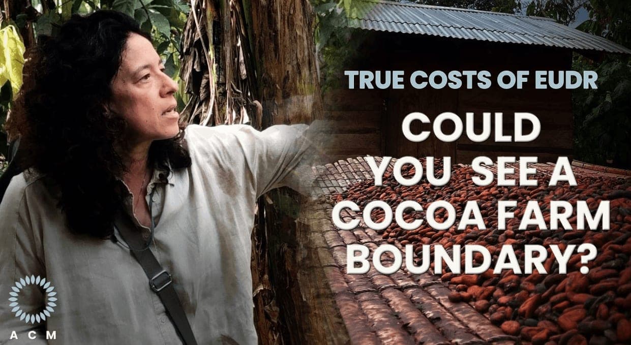 True Costs of EUDR: Could you see a cocoa farm boundary?